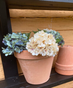 Hortensia kvist